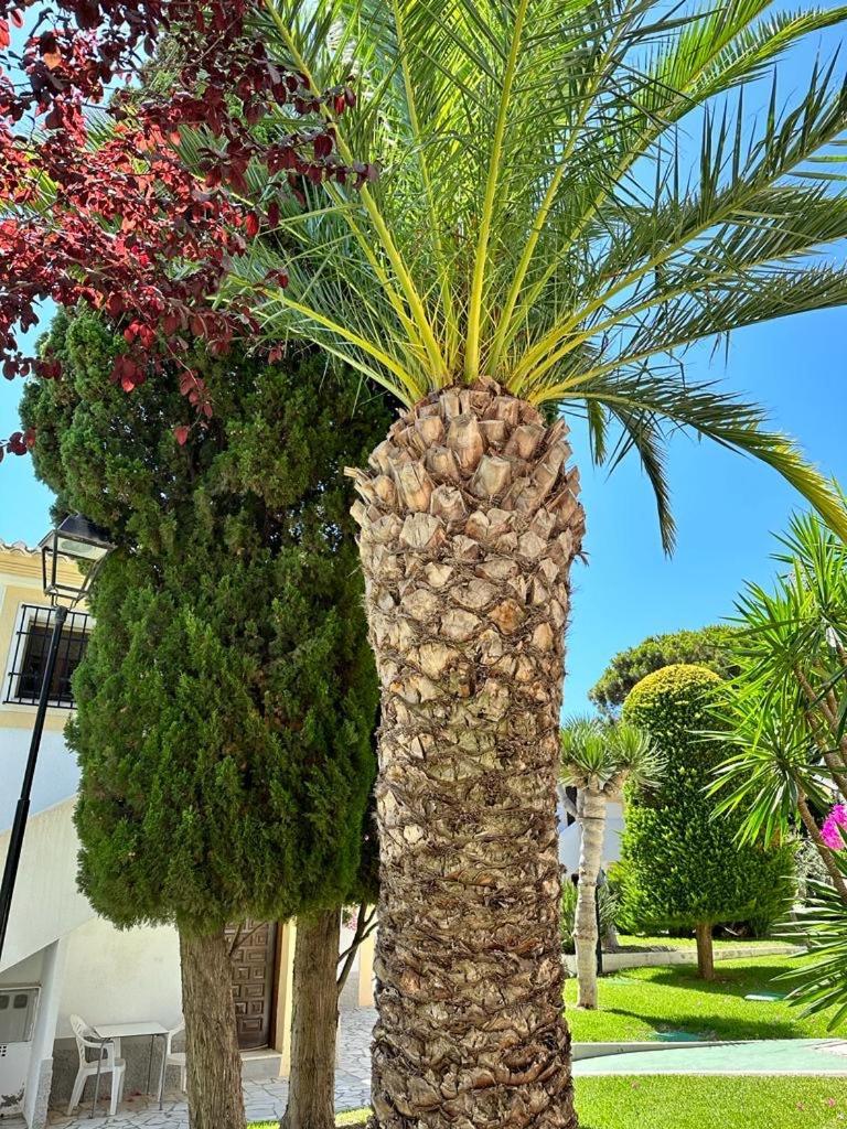 Casa De Emilia Vera Coast Playas de Vera ภายนอก รูปภาพ