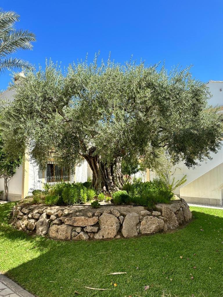 Casa De Emilia Vera Coast Playas de Vera ภายนอก รูปภาพ